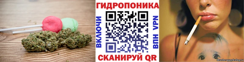 Canna-Cookies марихуана где купить наркоту Махачкала