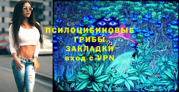 ешки Алексин