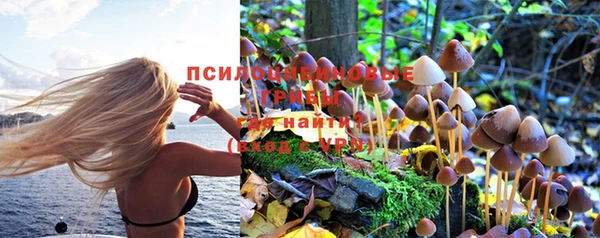 ешки Алексин