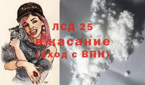 ешки Алексин