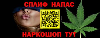 МДПВ Славянск-на-Кубани