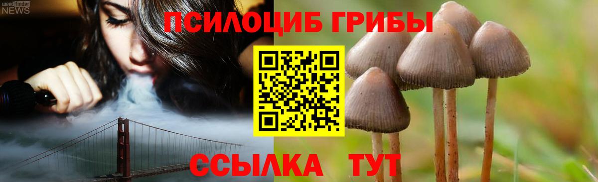 Псилоцибиновые грибы ЛСД  Псилоцибиновые грибы Psilocybine cubensis  Махачкала  Вход с VPN 