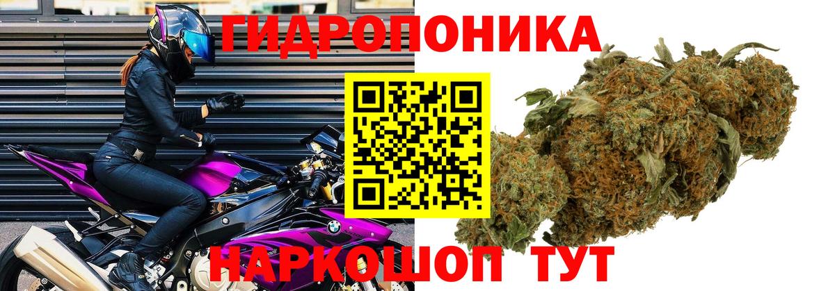 Бошки Шишки AK-47 Махачкала